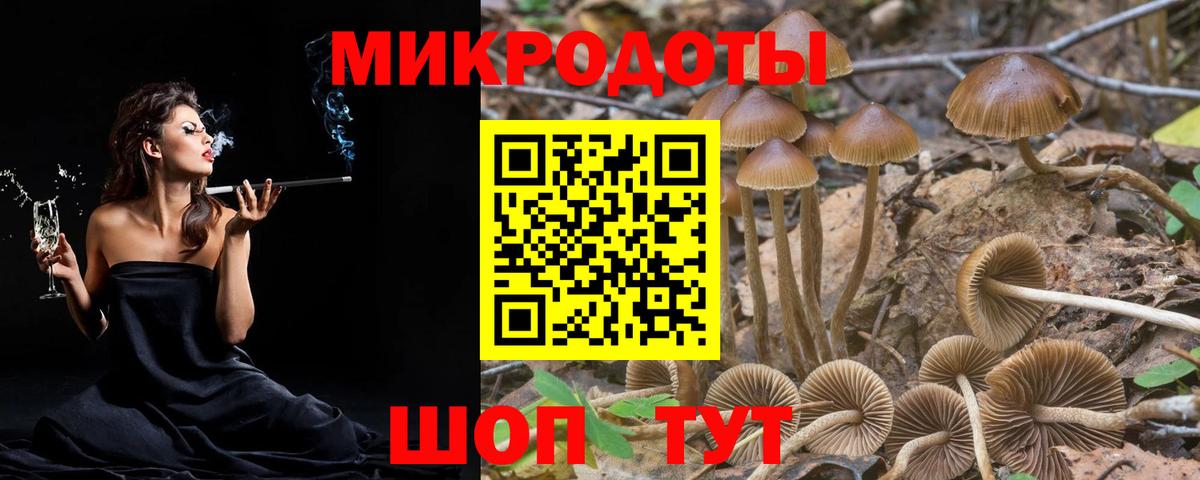 Омск  Галлюциногенные грибы прущие грибы  Вход с VPN 